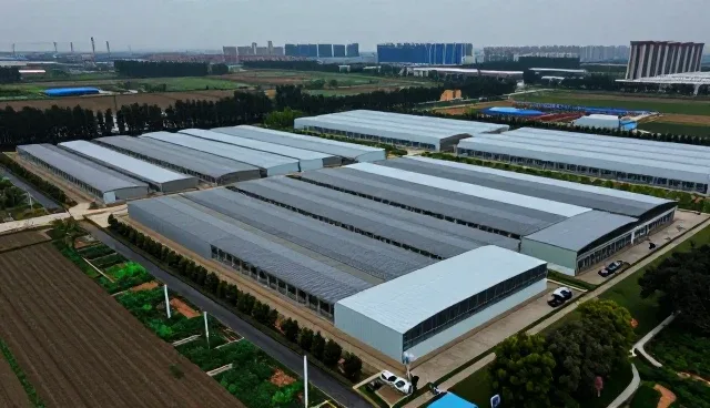 数据处理中常见问题及技术支持应对策略
